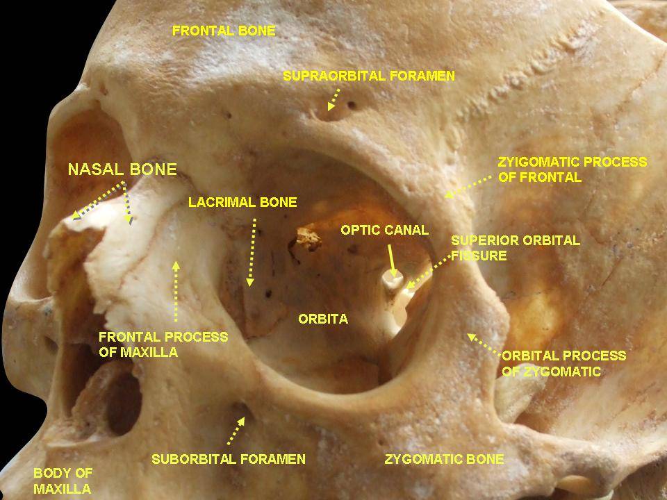 File:Slide6gre.JPG