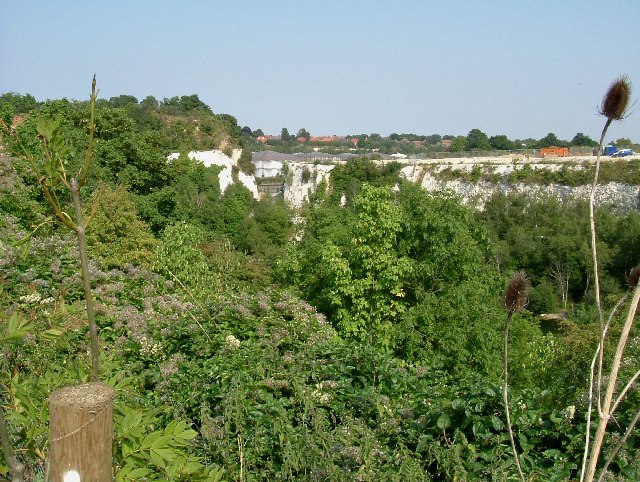 File:Chafford Gorge - geograph.org.uk - 39653.jpg