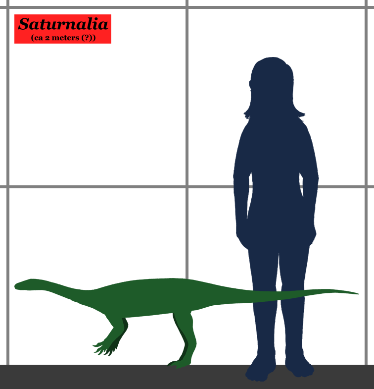 File:Saturnalia SIZE.png