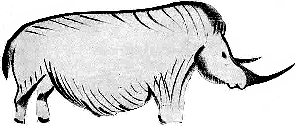 File:Woolly rhino font de gaume.jpg