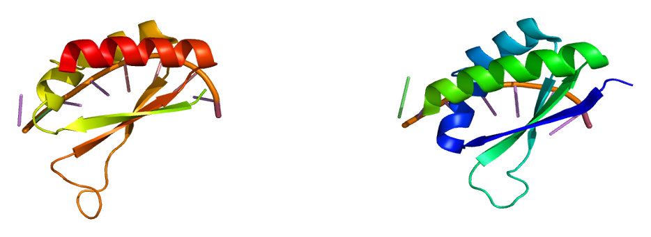 File:Protein FUBP1 PDB 1j4w.png