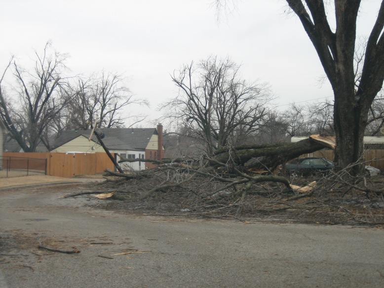 File:Tree Damage Tulsa area.jpg
