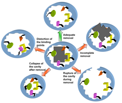File:Challenges of Template Removal for Molecular Imprinted Polymers.png