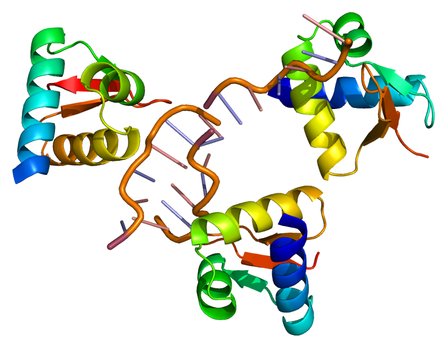 File:Protein ADAR PDB 1qbj.png
