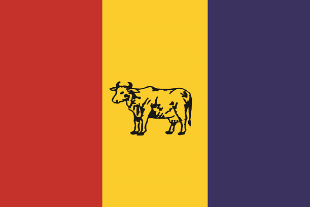 File:Rppnepalflagnewversion.png