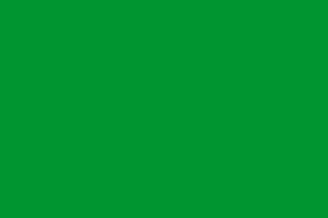 File:Solid green flag.png