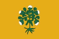 File:BormlaHTML.gif