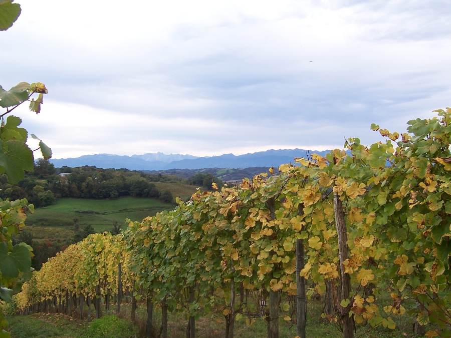 File:Vignoble du jurançon3.jpg