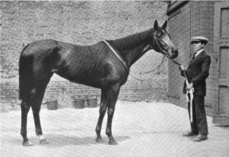 File:Princess Dorrie.jpg
