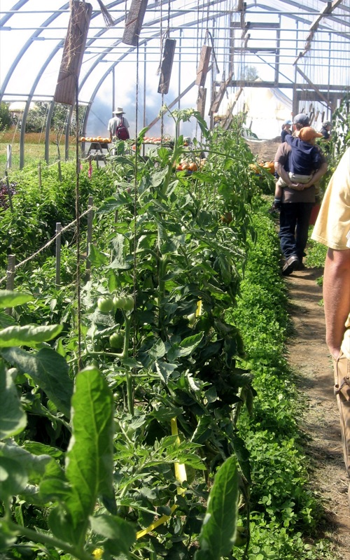 File:MOFGA Greenhouse (1435667386).jpg