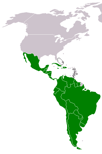 File:Rio Group.png