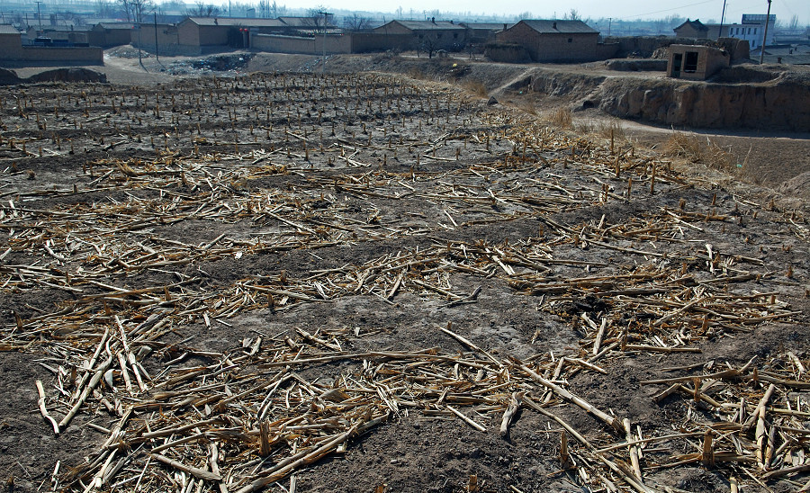 File:淹没在耕地中的代王城 行摄梓地.jpg