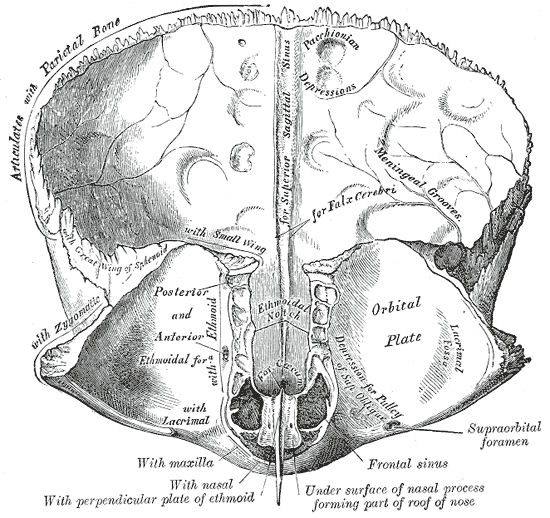 File:Gray135.png
