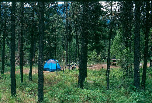 File:Boise NF Campground.jpg