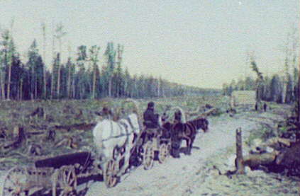 File:Clearing on the right-of-way of the Eastern Siberian Railway, A LCCN2004708023 (cropped).jpg