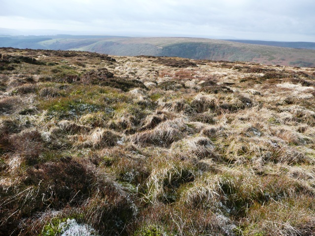 File:On Mynydd Coety - geograph.org.uk - 678860.jpg