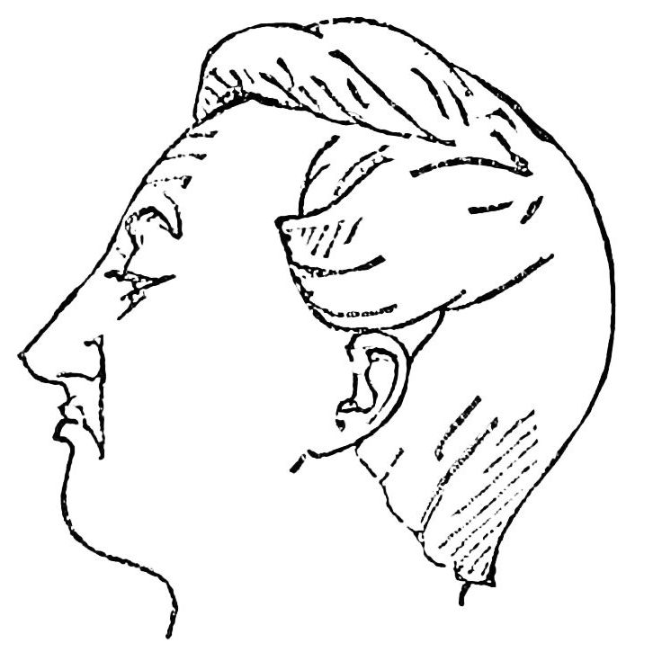 File:PSM V36 D704 Facial expression of contempt.jpg