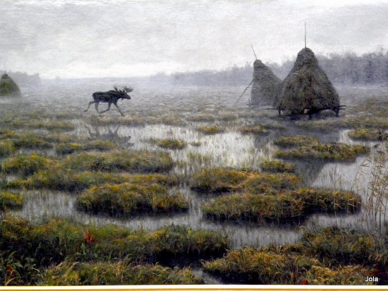 File:Лось на балоце.jpg