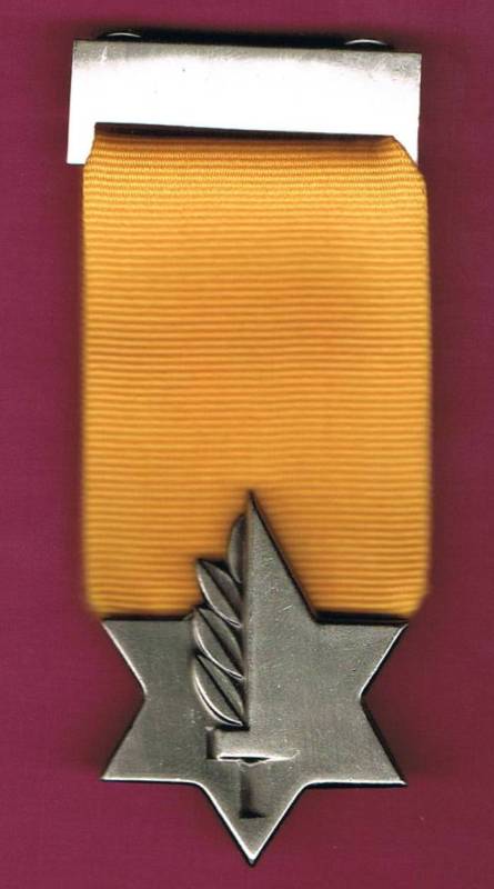 File:MedalofValor.jpg