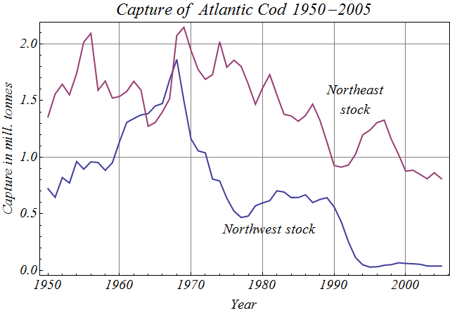 File:Atlantic cod capture 1950 2005.png