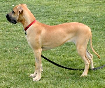 File:Oola - 6 months.jpg