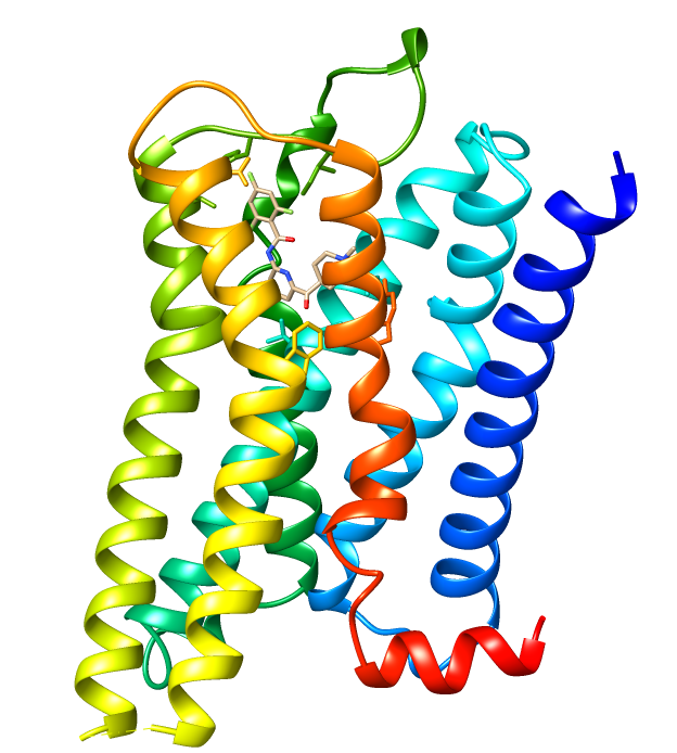 File:7exd 5-HT1F receptor.png