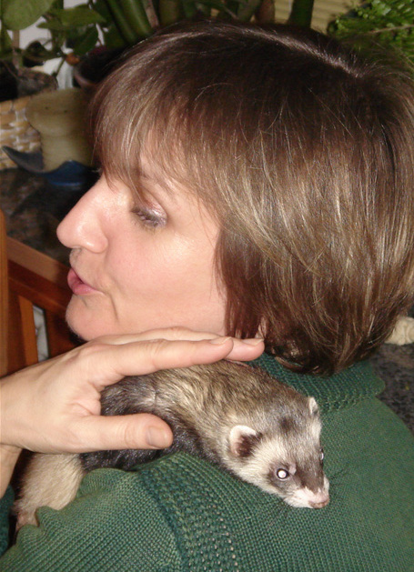 File:Weasel hug.jpg