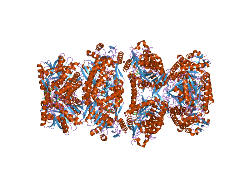 File:PDB 2j6l EBI.png