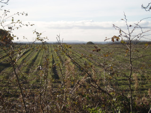 File:Bexton - Farmland.jpg