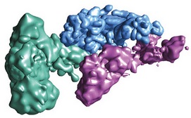 File:MediatorStrucMod4TC.jpg
