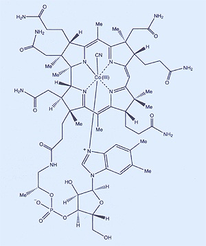 File:Dorothy Hodgkin B12 Molecular Structure.jpg