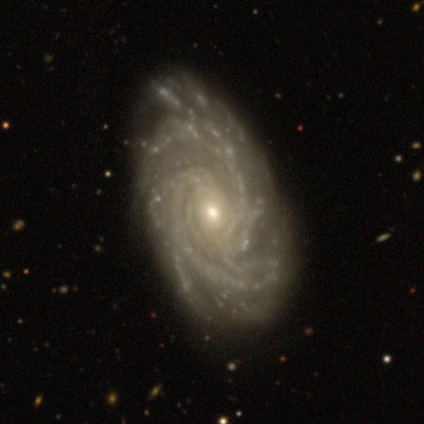 File:NGC 954 DECam.jpg