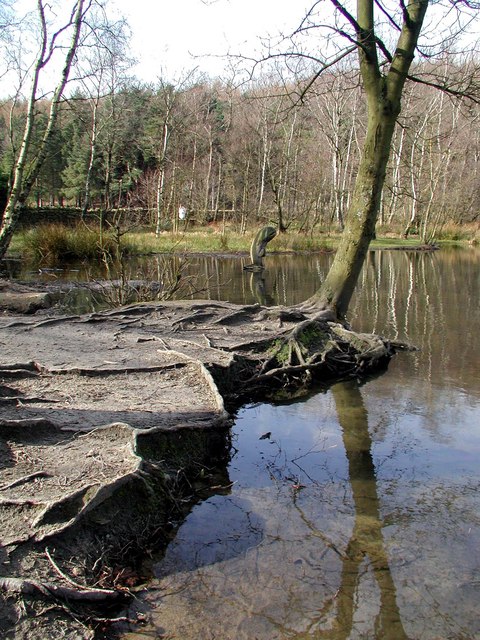 File:Coppice Pond - geograph.org.uk - 375297.jpg