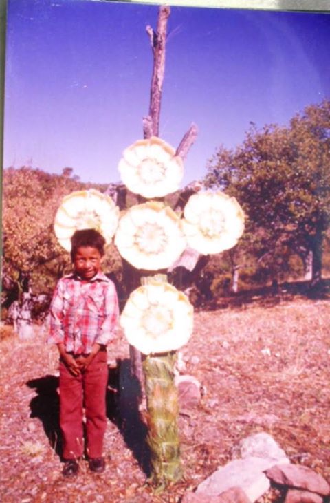 File:Tiodoro.jpg