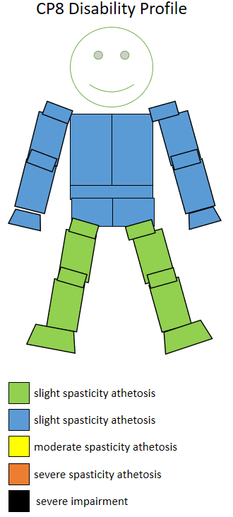 File:CP8 disability profile.png