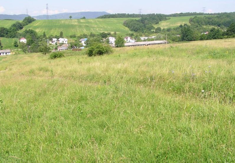 File:Potoky.jpg