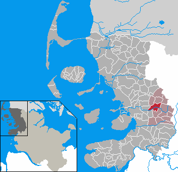 File:Vioel in NF.PNG