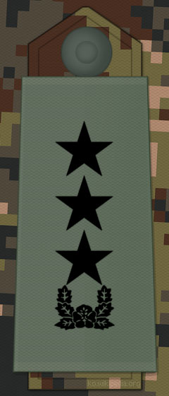 File:KA insignia Lieutenant General.jpg