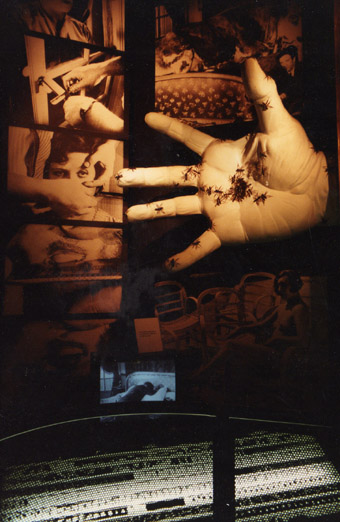 File:MOMIants.jpg
