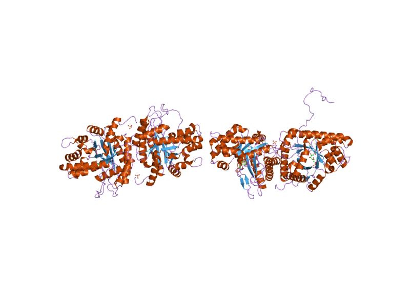 File:PDB 1fdj EBI.jpg