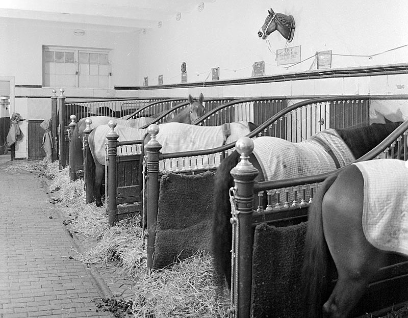 File:Clarence von Rosens stall.JPG