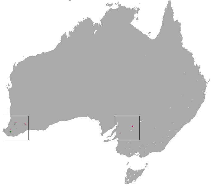 File:Numbat area.png