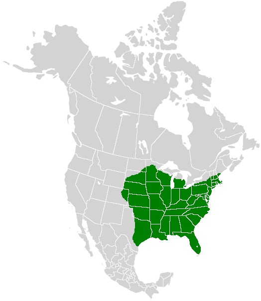 File:Papilio glaucus range map.JPG