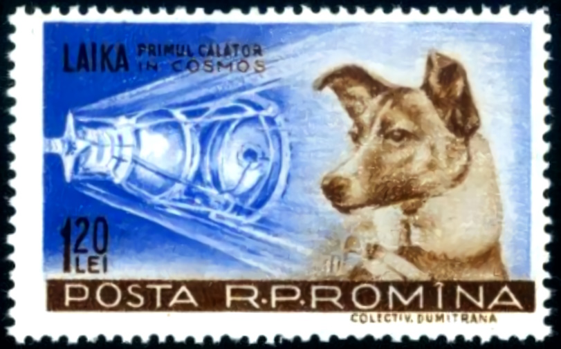 File:Posta Romana - 1959 - Laika 120 B.jpg