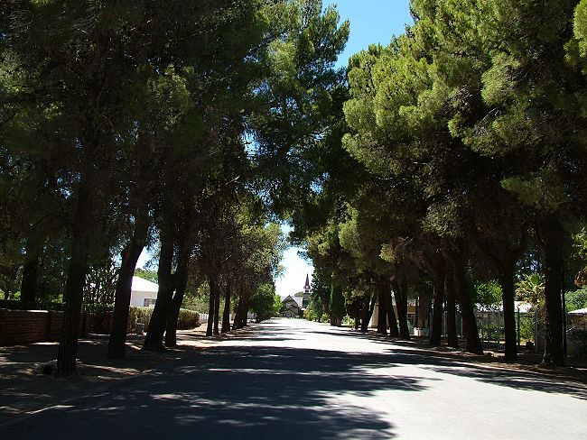 File:Loxton main.jpg