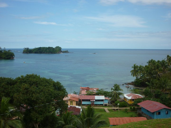 File:Kusapin.jpg