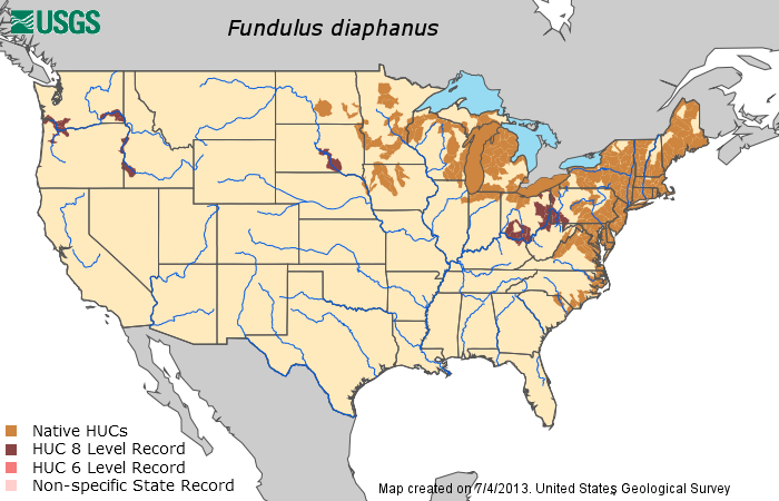 File:Fundulus diaphanus range map.png