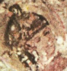File:Ivan Asen IV.png
