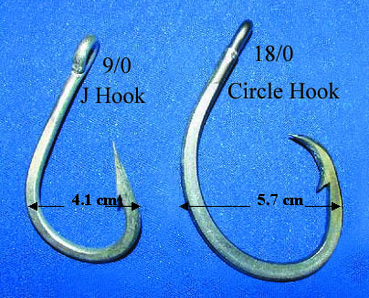 File:Pelagic Longline Hooks - J Hook by a Circle Hook.jpg