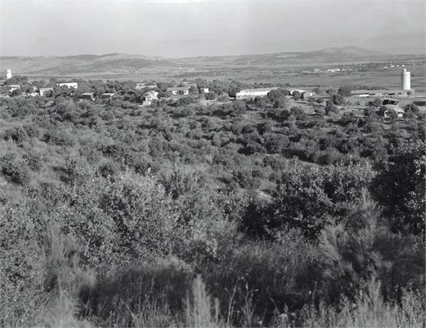 File:אלונים - מראה-JNF033700.jpeg
